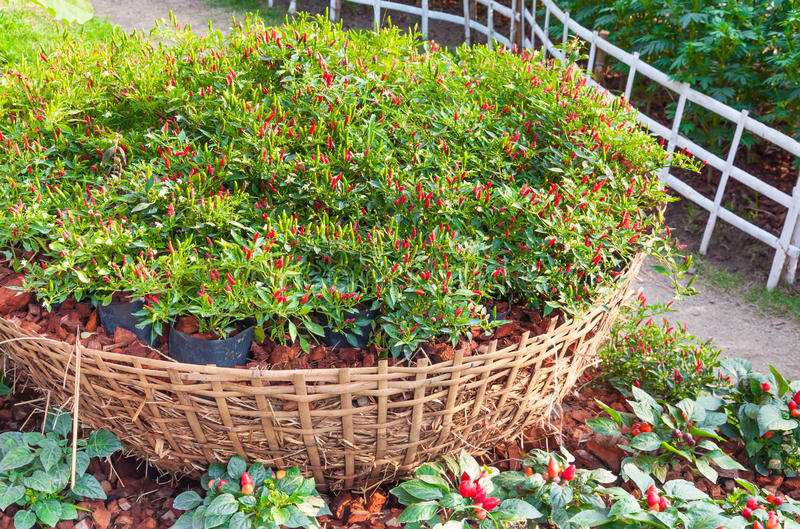 不忘初心踏征程|ayx官网(图1) ayx官网