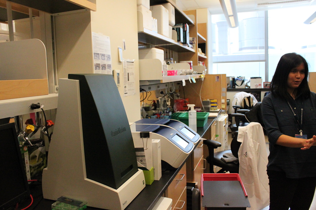 【ayx官方网站】江苏:五年制高职教育顶岗实习时间调整为半年(图1) ayx官网