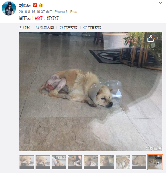 省教育督导评估组莅临上栗县花炮职业学校检查指导【ayx官方网站】(图2) 爱游戏(ayx)中国官方网站