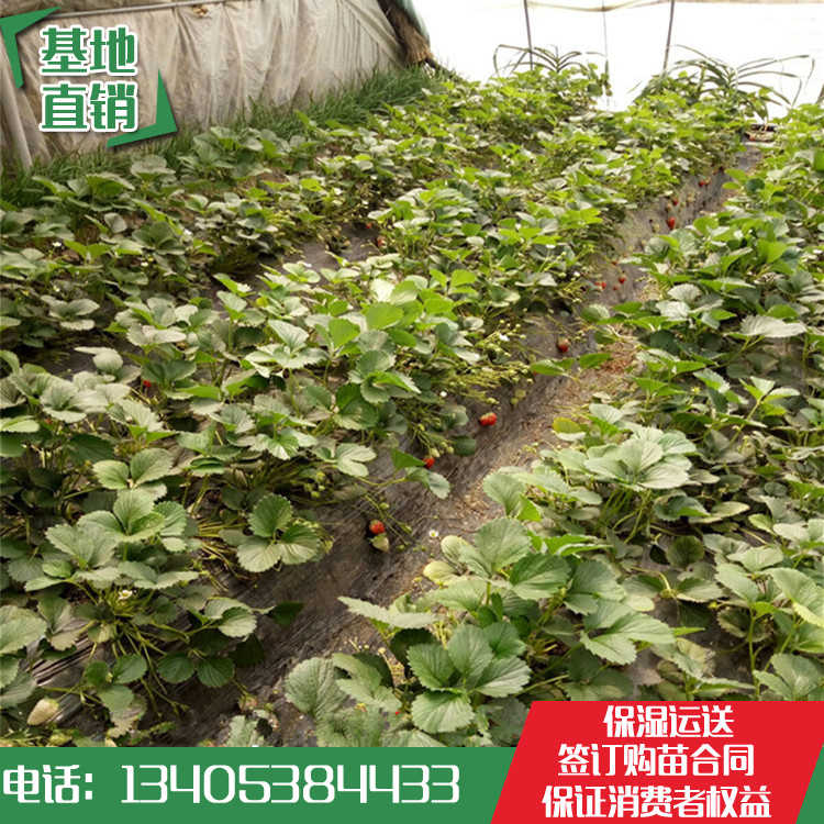 南昌市举行第七届职业教育宣传月启动仪式暨南昌市首届优秀毕业生首场报告会|ayx官方网站(图2) ayx官方网站