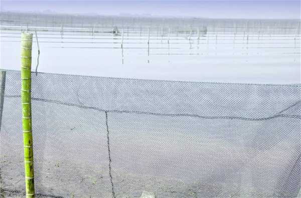 【爱游戏(ayx)中国官方网站】商丘:职业教育要培养高素质技能人才(图3) ayx官网