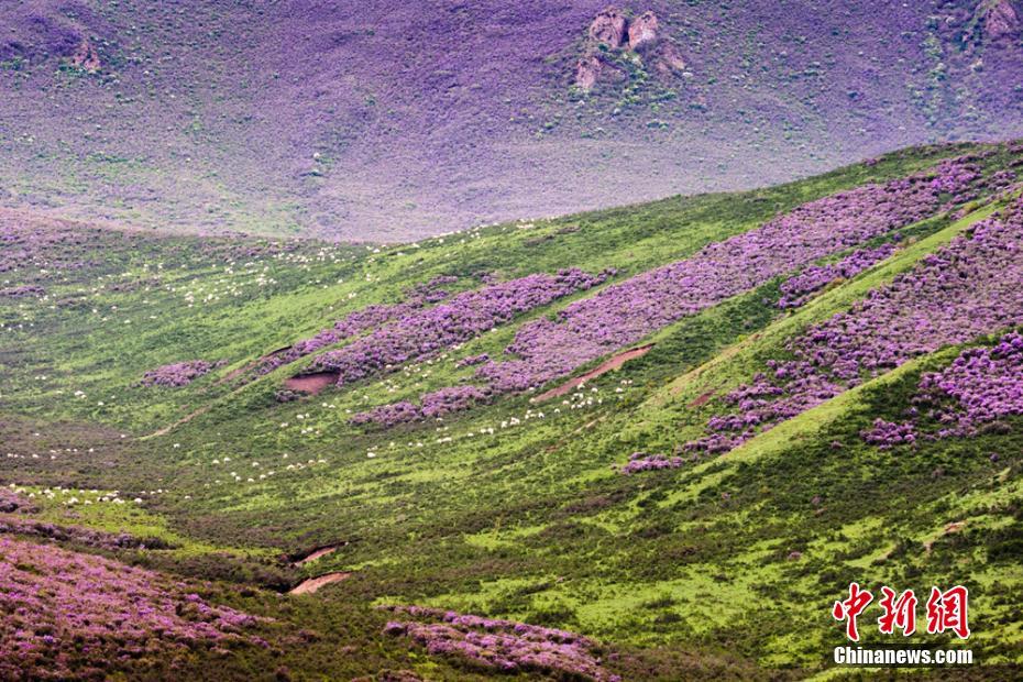 爱游戏(ayx)中国官方网站:浙江慈溪职业学校全面启动现代学徒制试点工作(图3) ayx官方网站