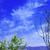 【ayx官方网站】4月1日美国DLA决定要恢复SSA钨矿及钨精矿销售(图3) ayx官网