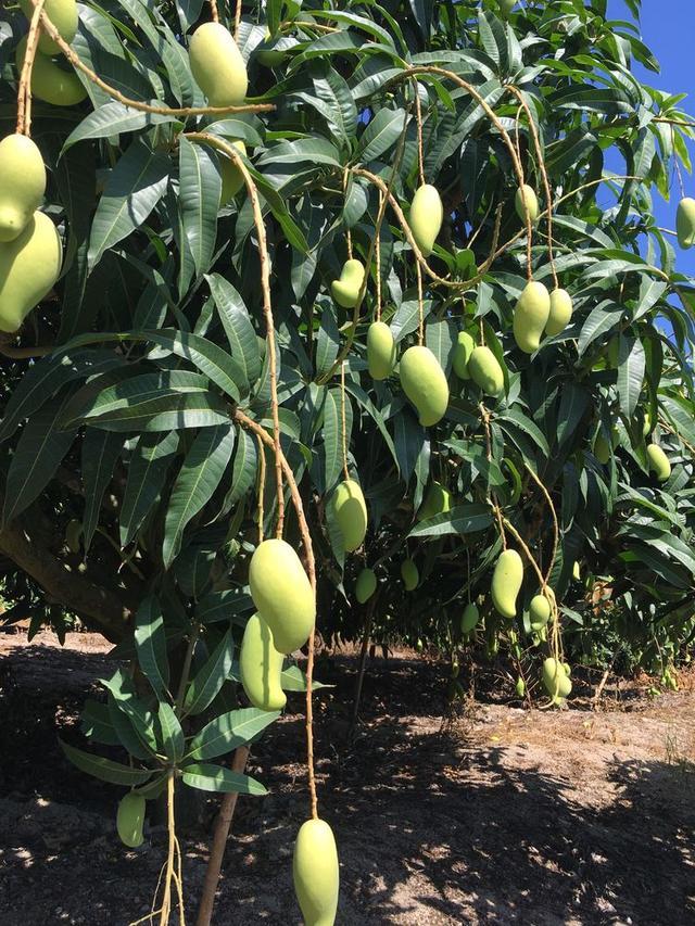 爱游戏（ayx）中国官方网站