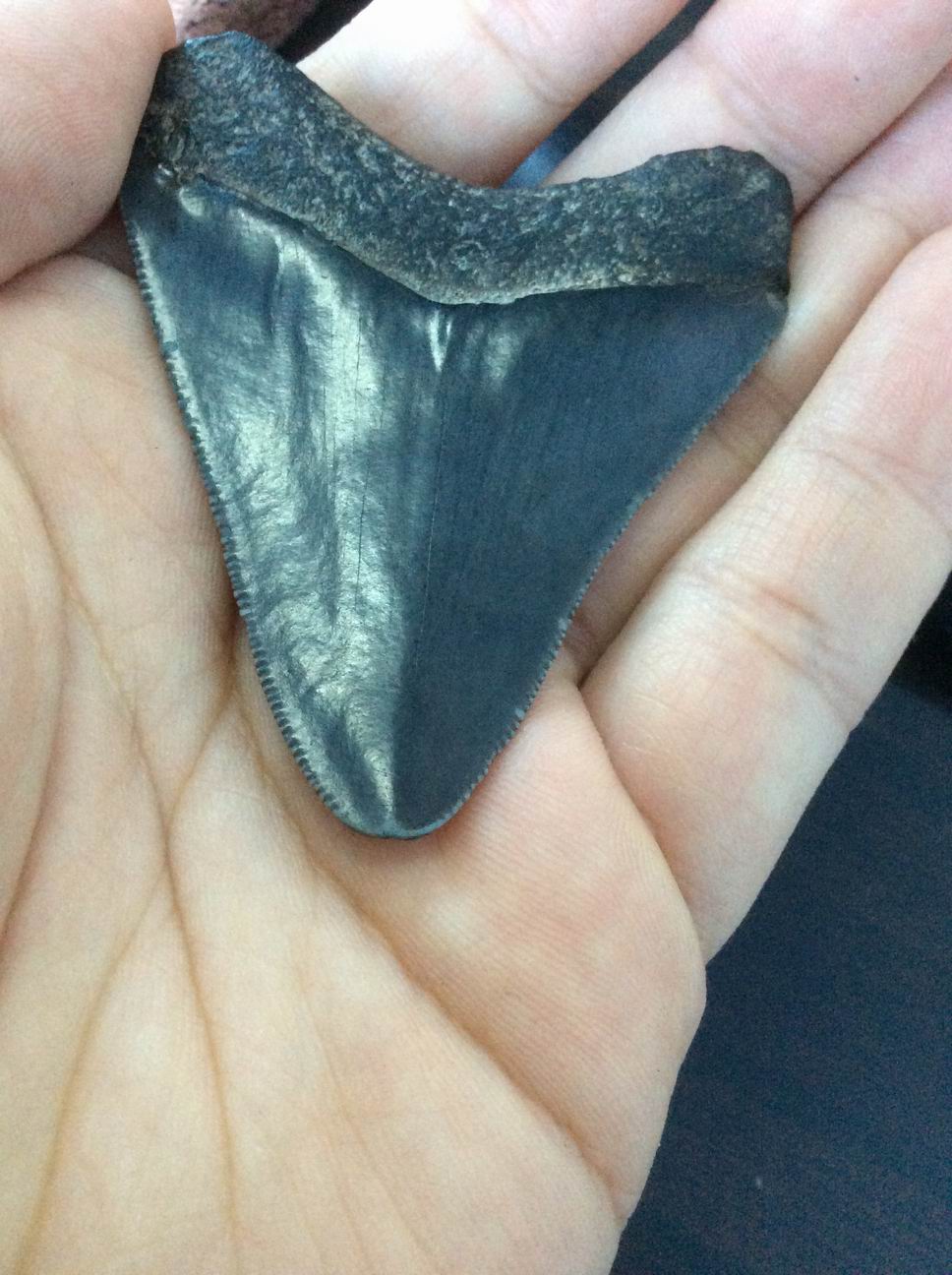 爱游戏（ayx）中国官方网站