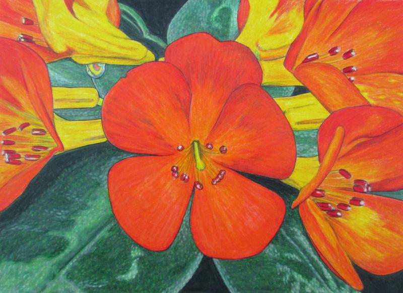 爱游戏(ayx)中国官方网站|万宝矿产与刚果(金)国家电力公司深入交流(图2) ayx官网