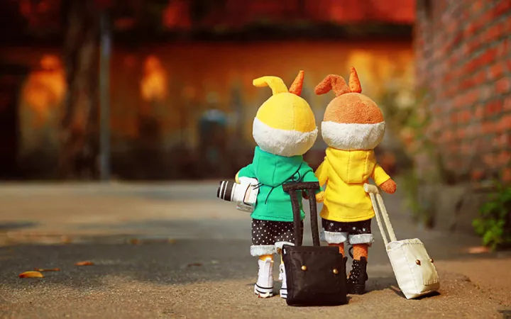 河南这三家高校开设退役军人职业教育培训专业,19个热门专业供报考_ayx官网(图1) 爱游戏(ayx)中国官方网站