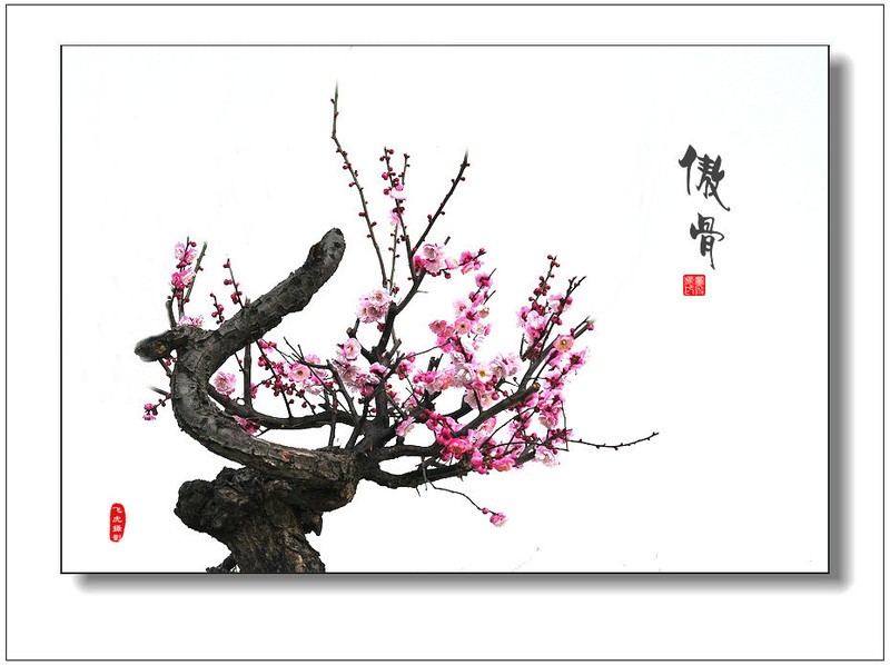 赣州农业学校助力帮扶村成立“全南县大丰科学养猪示范点_ayx官网(图1) 爱游戏(ayx)中国官方网站