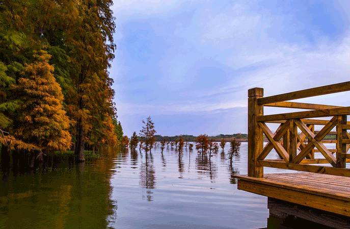 国内数个H7N9疫苗已申报临床试验|爱游戏(ayx)中国官方网站(图1) ayx官网