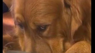 煤企海外投资要分析目标国文化环境“ayx官方网站”(图1) ayx官方网站