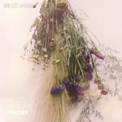 你知道为什么核桃可以补脑吗_ayx官方网站(图1) ayx官网