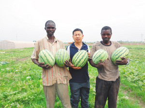 中央地勘基金加强东部隐伏矿找矿【ayx官网】(图2) ayx官方网站