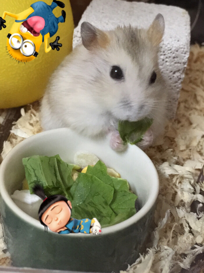 爱游戏（ayx）中国官方网站