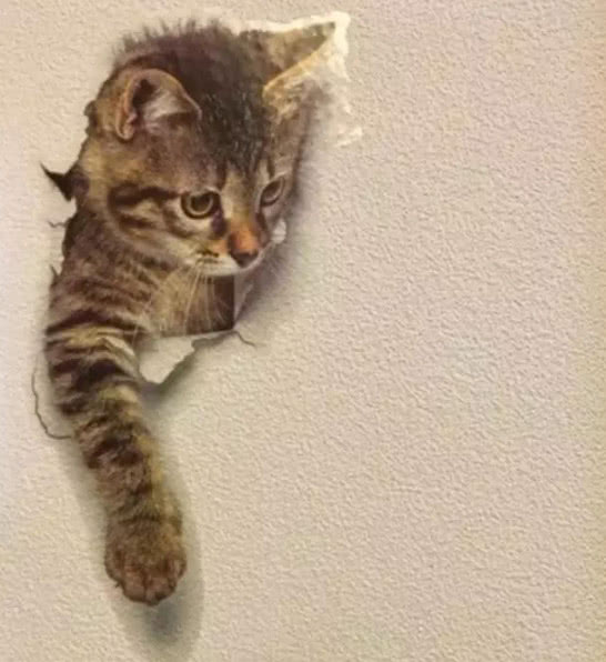 跳广场舞护好软组织穿双软底防滑鞋“爱游戏(ayx)中国官方网站”(图1) ayx官方网站