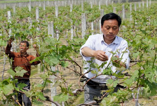 爱游戏（ayx）中国官方网站